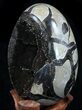 Septarian Dragon Egg Geode - Crystal Filled #37358-3